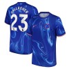 Officiële Voetbalshirt Chelsea Gallagher 23 Thuis 2024-25 - Heren